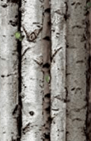 screen shot 2019-01-05 at 22.26.26